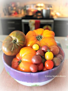 Look at these beauties!