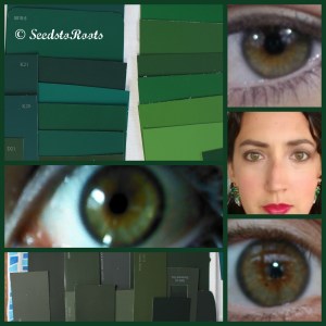 These are almost my final selections, I removed some of the too muted colors and the teals. Top image is energy and tranquil, the bottom is first base. 