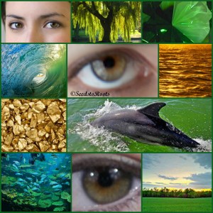 See how jarring gold is with my eye? It may be in my eye, but it isn't one of my colors. You can be too literal with this process!