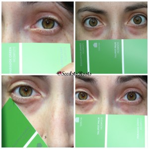 This was how I photographed my eye with colors. This collage is the same colors on two different days and lightings. Notice I'm not wearing any makeup to do this.